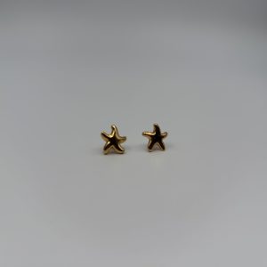 Les Boucles d'Oreilles "Stella"
